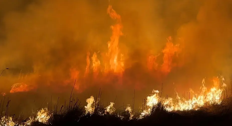 Yüksekova'da kuş cennetinde yangın: Yerleşim yerlerini tehdit ediyor