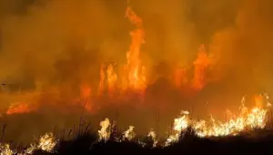 Yüksekova'da kuş cennetinde yangın: Yerleşim yerlerini tehdit ediyor
