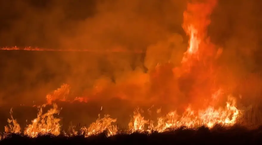 Yüksekova'da kuş cennetinde yangın: Yerleşim yerlerini tehdit ediyor 7