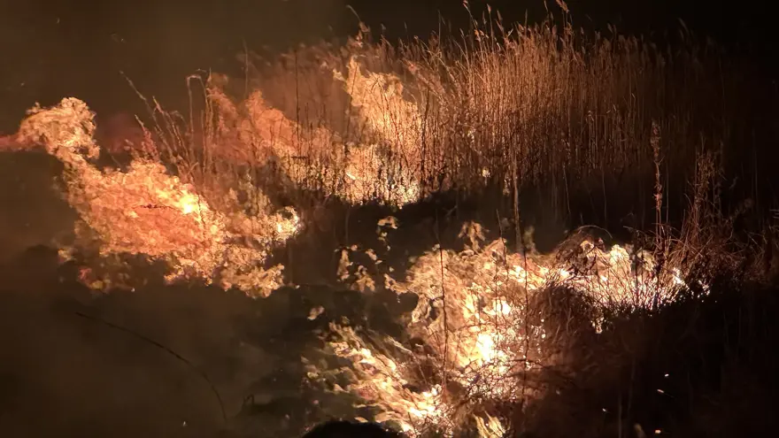 Yüksekova'da kuş cennetinde yangın: Yerleşim yerlerini tehdit ediyor 