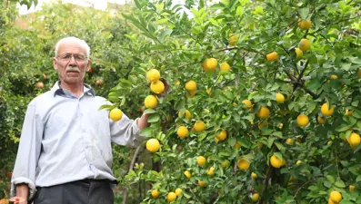 Diyarbakır'daki bu köye ne ekilirse o biçiliyor: Bereketli topraklarında yok yok