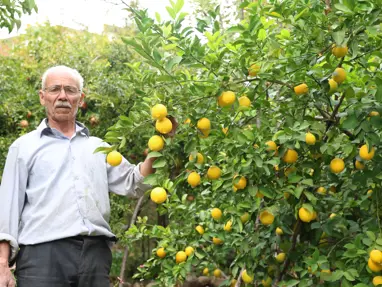 Diyarbakır'daki bu köye ne ekilirse o biçiliyor: Bereketli topraklarında yok yok