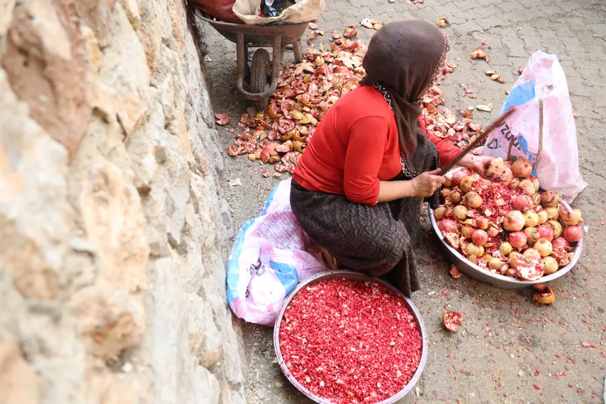 Diyarbakır'daki bu köye ne ekilirse o biçiliyor: Bereketli topraklarında yok yok 1