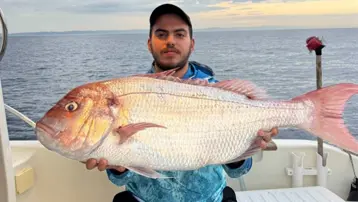 Çanakkale'de balıkçıların ağına takıldı: Tam 12 kilogram ağırlığında