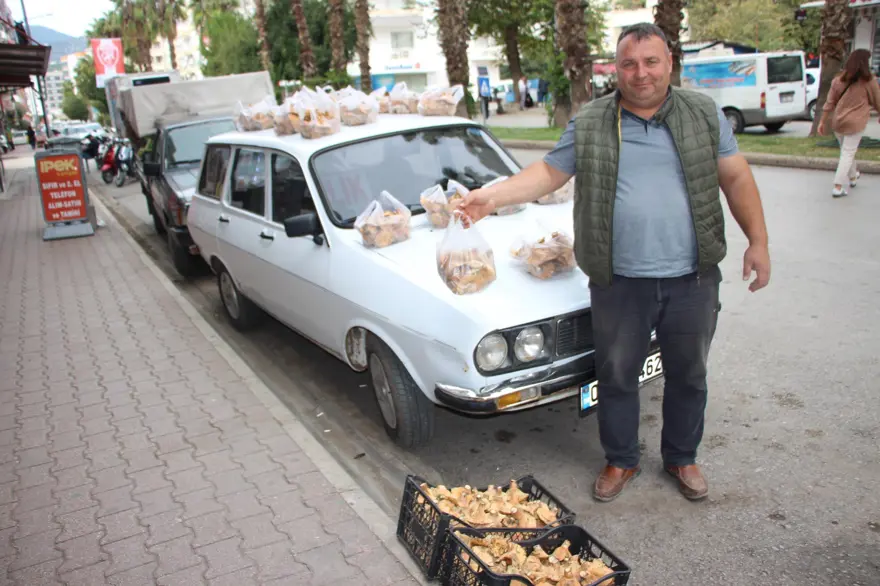 Yağmur yağınca ortaya çıkıyor, kendiliğinden yetişiyor:  Tezgahta kilosu 350 TL 3
