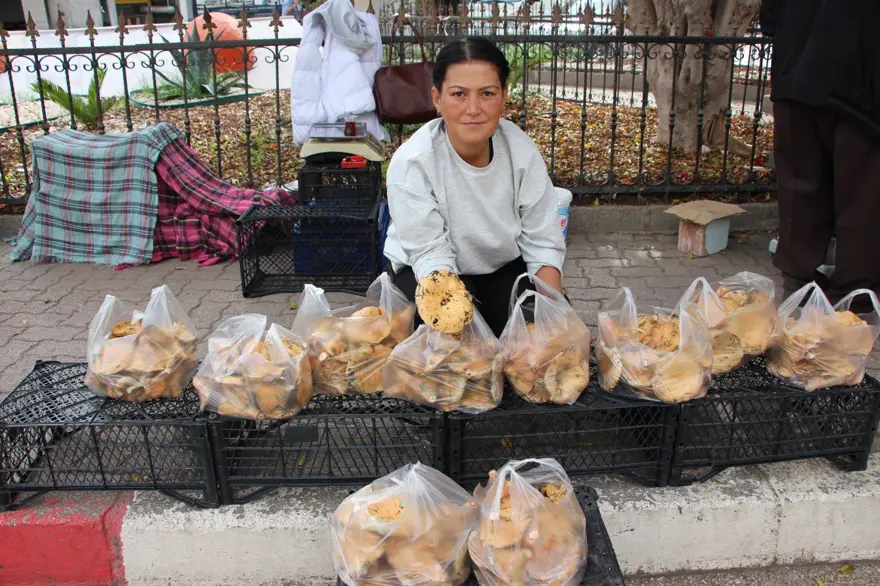 Yağmur yağınca ortaya çıkıyor, kendiliğinden yetişiyor:  Tezgahta kilosu 350 TL 