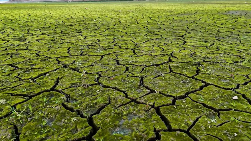 İstanbul'da kuraklığın izleri: Endişelendiren gerileme sürüyor 3