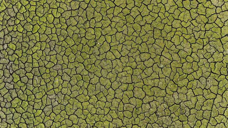 İstanbul'da kuraklığın izleri: Endişelendiren gerileme sürüyor 1