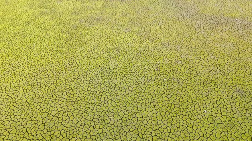 İstanbul'da kuraklığın izleri: Endişelendiren gerileme sürüyor 2