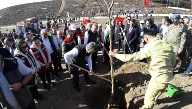Bolu’da yanan orman yeniden yeşeriyor 