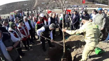 Bolu’da yanan orman yeniden yeşeriyor