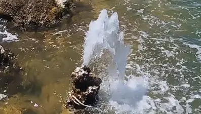 Van Gölü'nde şaşırtan görüntü: Sular çekilince ortaya çıktı