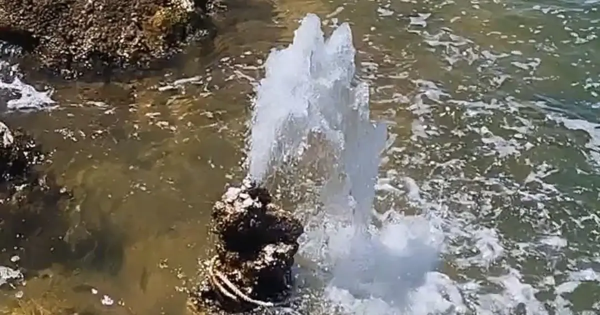 Van Gölü'nde şaşırtan görüntü: Sular çekilince ortaya çıktı