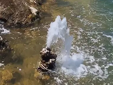 Van Gölü'nde şaşırtan görüntü: Sular çekilince ortaya çıktı