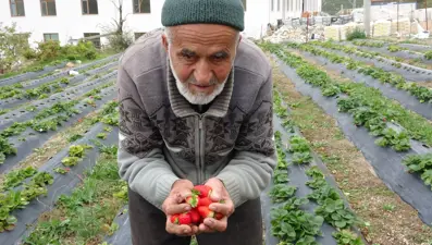 85 yaşındaki İbrahim dede bahçesindeki her şeyi ücretsiz dağıtıyor: ''Malım herkese helaldir''