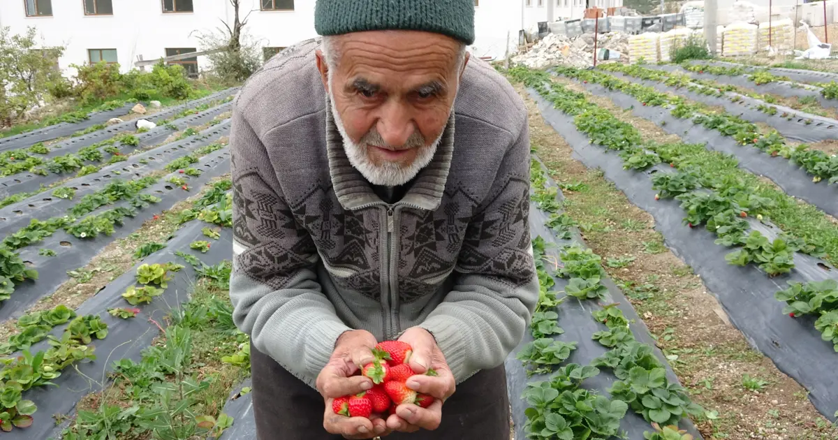 85 yaşındaki İbrahim dede bahçesindeki her şeyi ücretsiz dağıtıyor: ''Malım herkese helaldir''