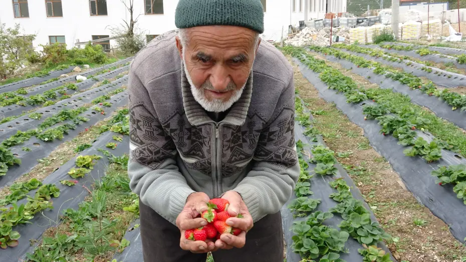 85 yaşındaki İbrahim dede bahçesindeki her şeyi ücretsiz dağıtıyor: ''Malım herkese helaldir''