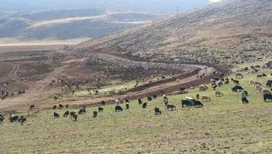 Siirt'teki Zirin Gölü doğal yaşamına kavuşuyor