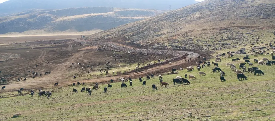 Siirt'teki Zirin Gölü doğal yaşamına kavuşuyor
