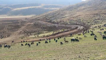 Siirt'teki Zirin Gölü doğal yaşamına kavuşuyor