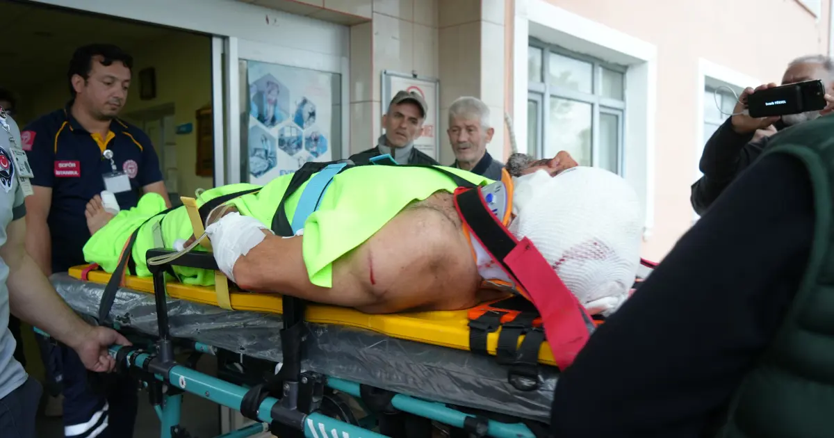 Mantar toplarken ayı saldıran imam yaralandı