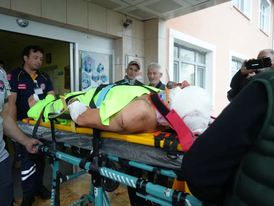 Mantar toplarken ayı saldırdı 