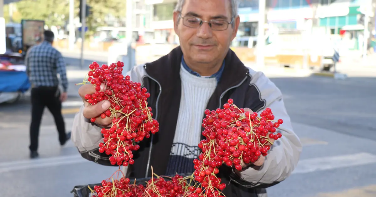 Ona halk arasında "gençlik iksiri" deniyor: Kendiliğinden yetişen meyve tezgahta