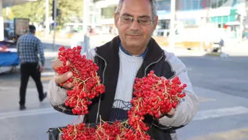 Ona halk arasında "gençlik iksiri" deniyor: Kendiliğinden yetişen meyve tezgahta