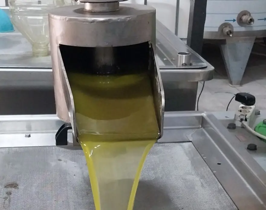 Sabahın erken saatlerinde toplanıyor. Şifa deposu besinin kilosu 30 liradan başlıyor 3 Sabahın erken saatlerinde toplanıyor. Şifa deposu besinin kilosu 30 liradan başlıyor 3