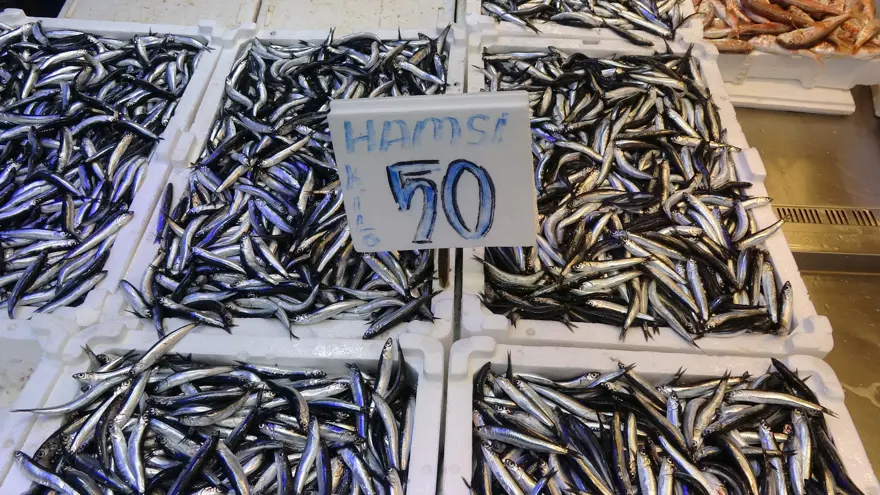 En bereketli sezon, 3 kilosu 200 TL. Tezgahlar doldu, taştı  1