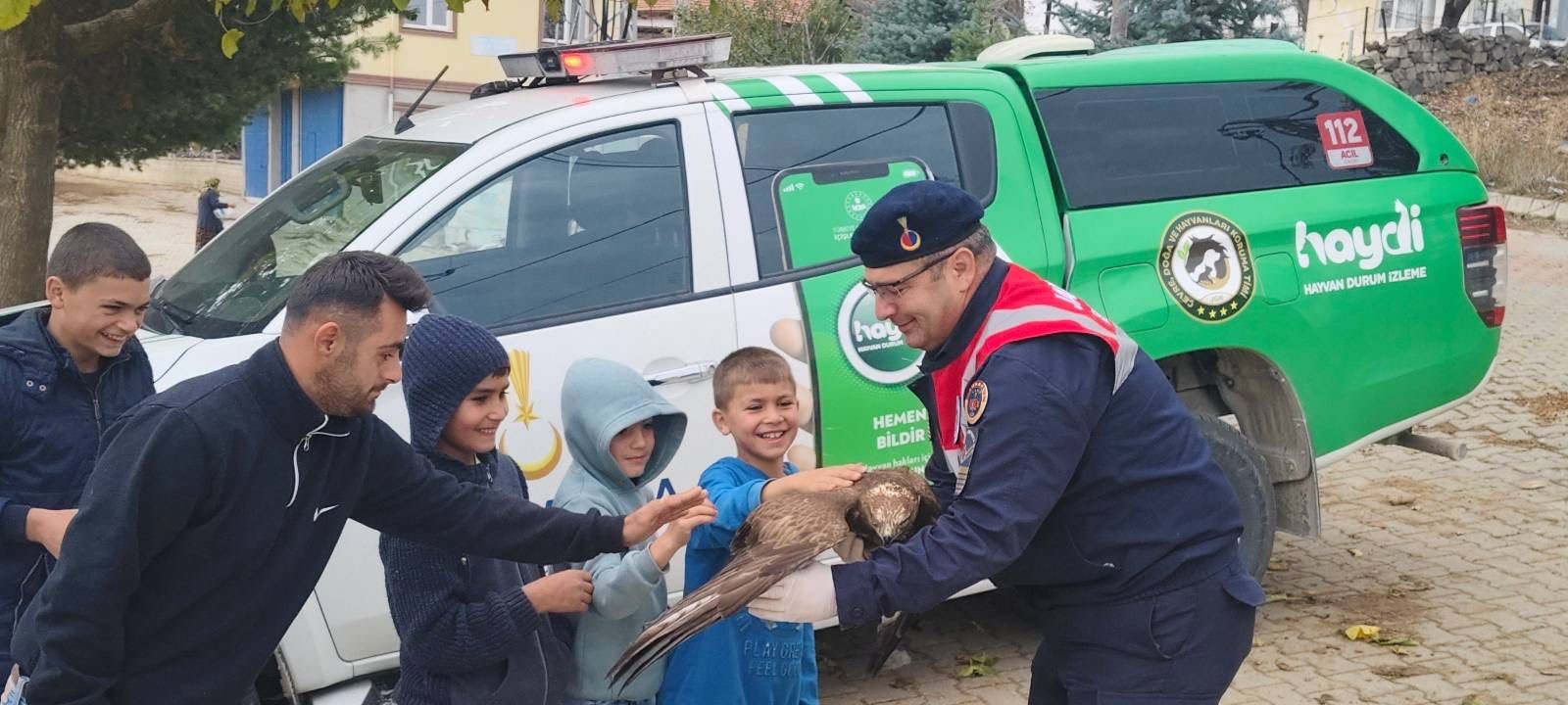 Yaralı bulunan kızıl şahin tedavi altına alındı