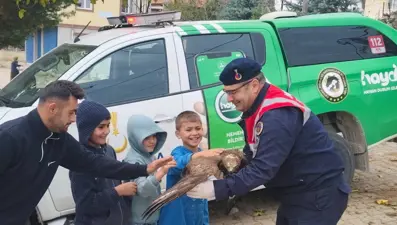 Yaralı bulunan kızıl şahin tedavi altına alındı