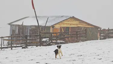 Ordu'nun yükseklerinde kar yağışı