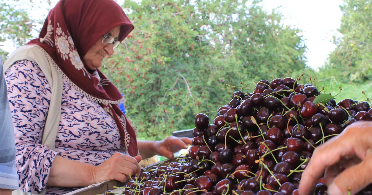 Kokteyl ve pasta yapımında kullanılıyor: Afyonkarahisar'dan dünyaya satılıyor