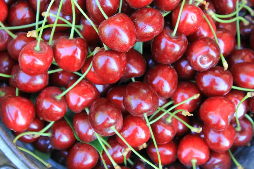 Kokteyl ve pasta yapımında kullanılıyor: Afyonkarahisar'dan dünyaya satılıyor 2 Kokteyl ve pasta yapımında kullanılıyor: Afyonkarahisar'dan dünyaya satılıyor 2