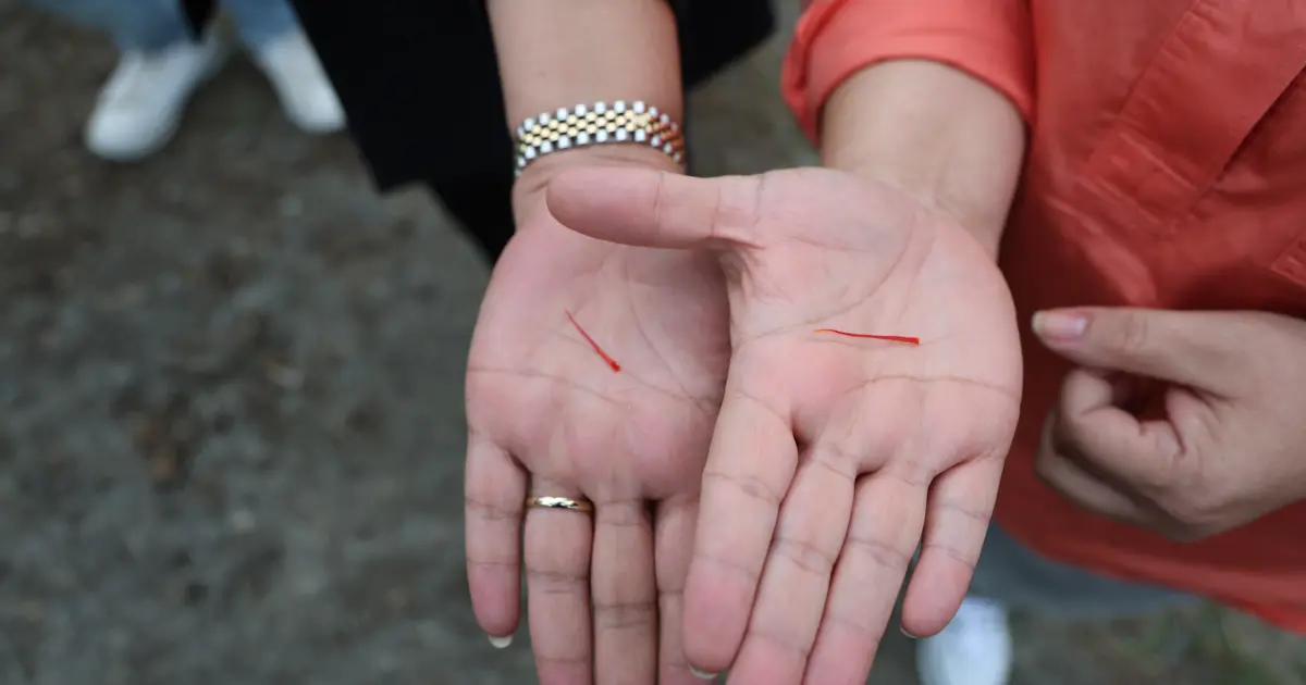 Meme kanseri tedavisinde etkili olduğu biliniyor, gramı 600 lira