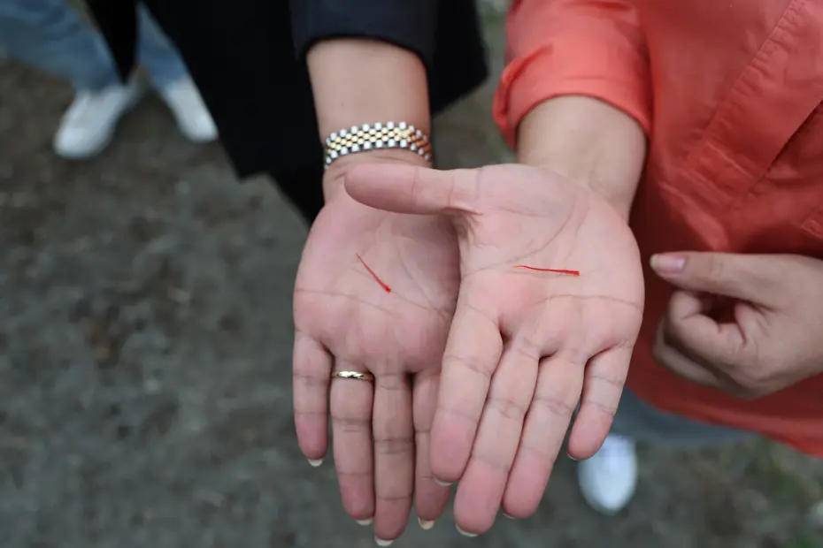 Meme kanseri tedavisinde etkili olduğu biliniyor, gramı 600 lira