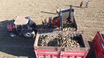 Yozgat'ta pancar mesaisi sürüyor