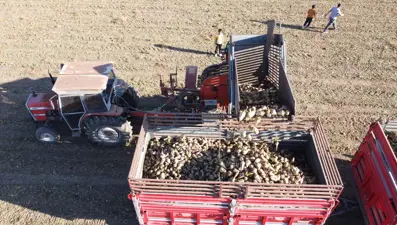 Yozgat'ta pancar mesaisi sürüyor