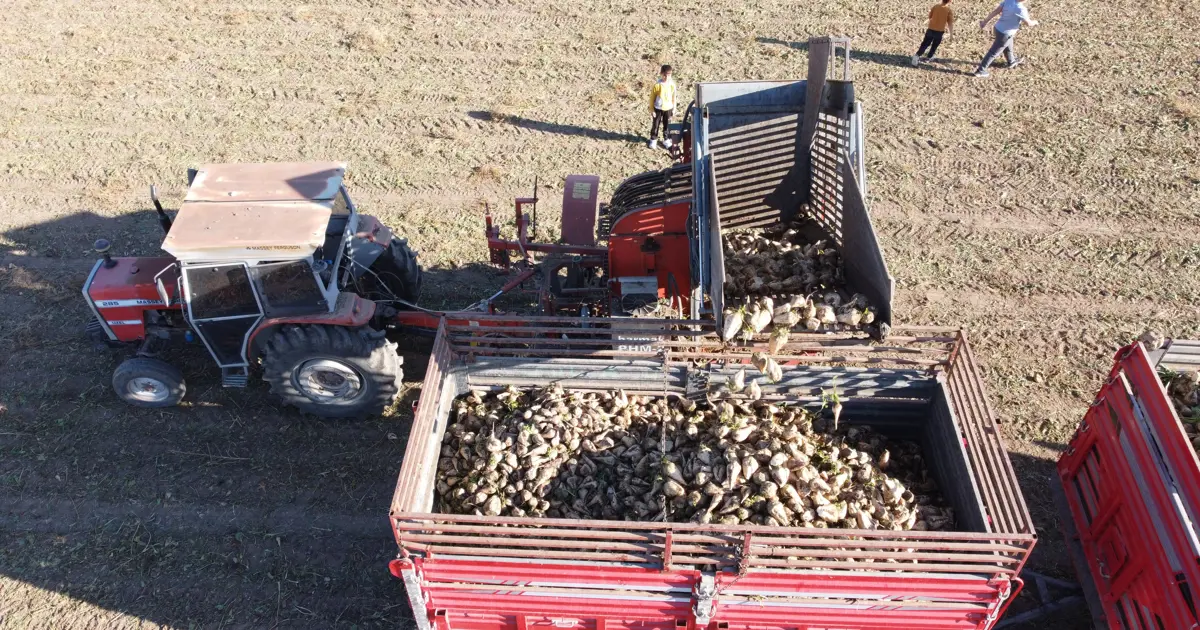 Yozgat'ta pancar mesaisi sürüyor