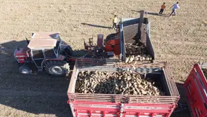 Yozgat'ta pancar mesaisi sürüyor