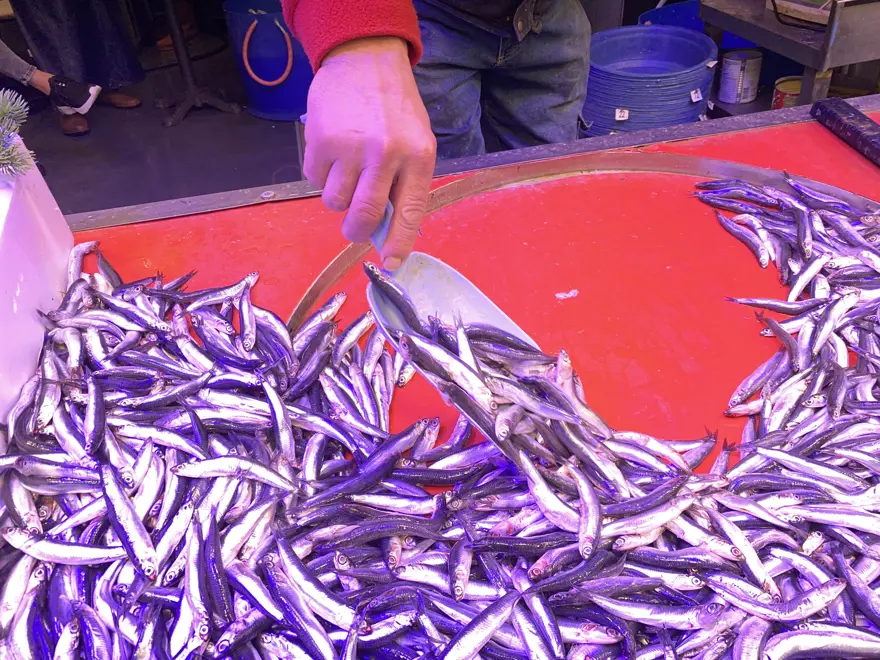 Denizlerde bollaşınca kilosu 100 TL'ye düştü, tezgahın yıldızı oldu 1