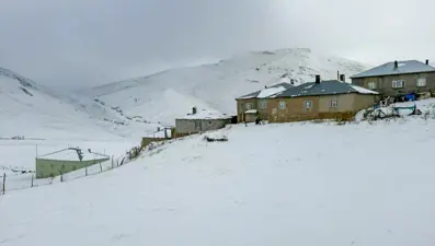 Van Başkale&#x27;de yüksek kesimler beyaza büründü