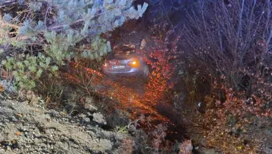 Alkollü sürücü şarampole yuvarlandı