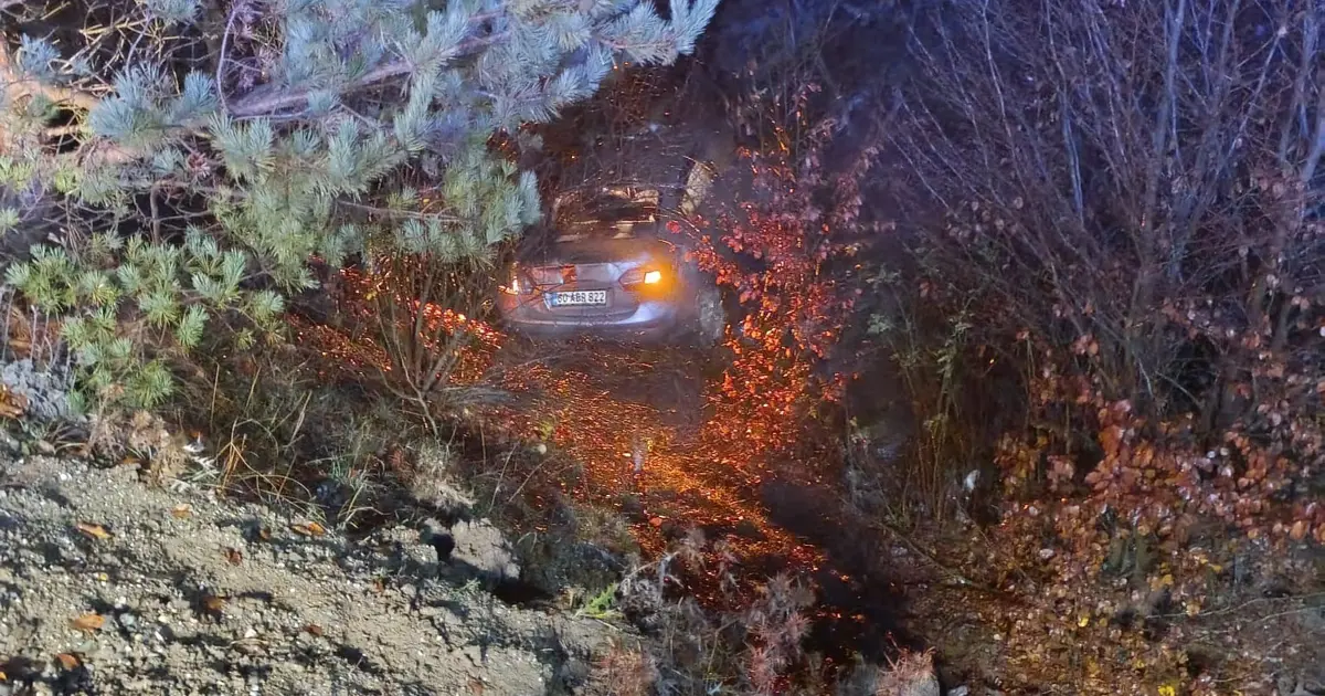 Alkollü sürücü şarampole yuvarlandı