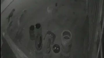 Köpeklerin saldırısından kaçan tavuk oto lastikçiye sığındı
