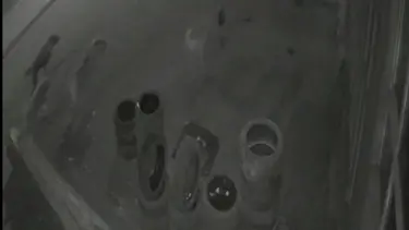 Köpeklerin saldırısından kaçan tavuk oto lastikçiye sığındı
