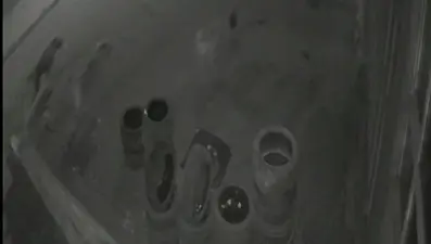 Köpeklerin saldırısından kaçan tavuk oto lastikçiye sığındı
