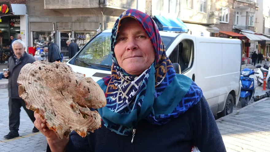 Toplaması zor, fiyatlara da yansıdı: Ormanda tek tek arıyorlar, kilosu 400 TL 2