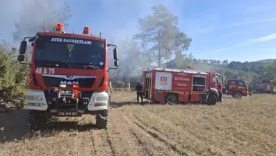 Yatağan'da iki ayrı arazi yangını